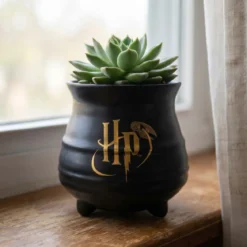 Harry Potter - Hogwarts Kessel Blumentopf