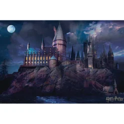 Harry Potter - Hogwarts Maxi Poster