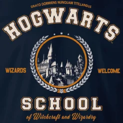 Harry Potter - Hogwarts School Hoodie blau