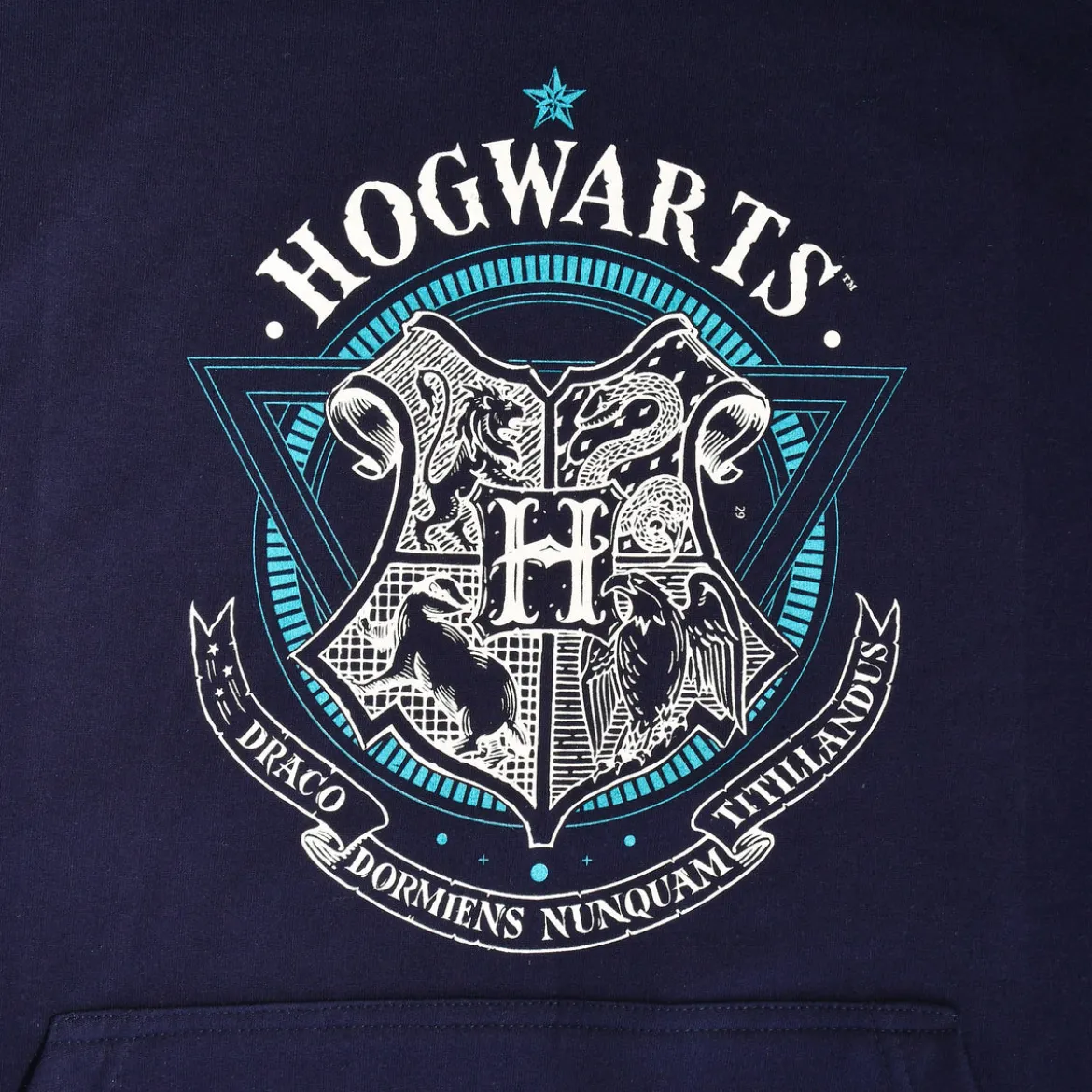 Harry Potter - Hogwarts School of Witchcraft Hoodie blau