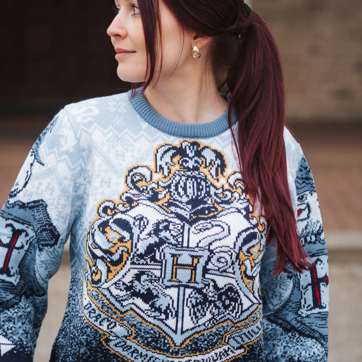 Harry Potter - Hogwarts Strickpullover