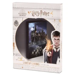 Harry Potter - Hogwarts Wandbild mit Licht