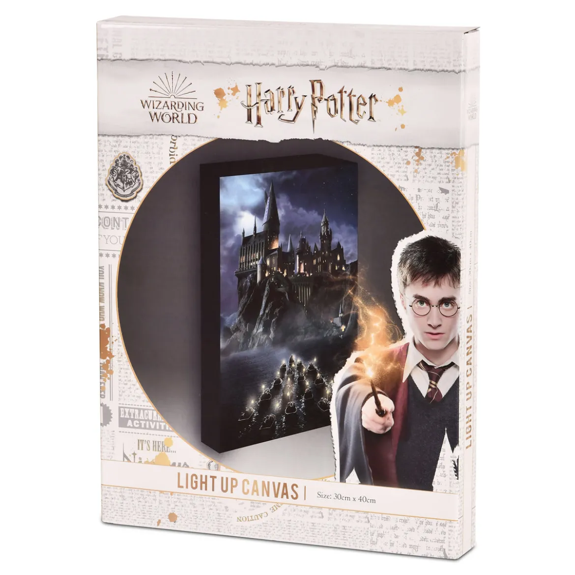Harry Potter - Hogwarts Wandbild mit Licht