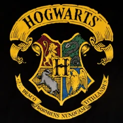Harry Potter - Hogwarts Wappen T-Shirt schwarz