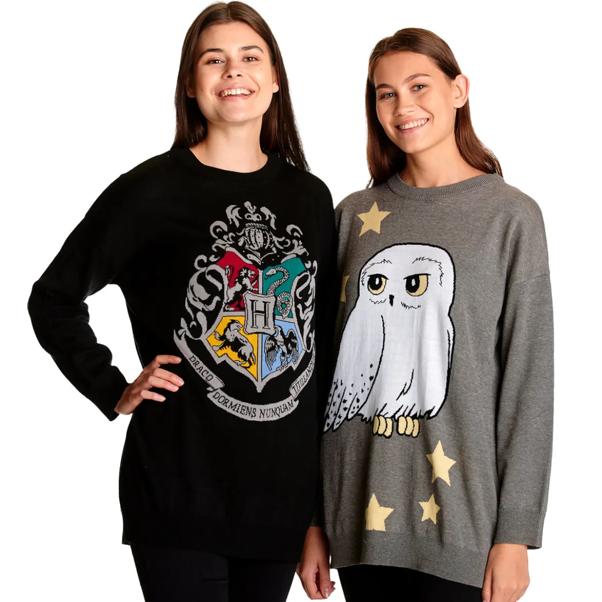 Harry Potter - Hogwarts Wappen Oversize Sweater schwarz