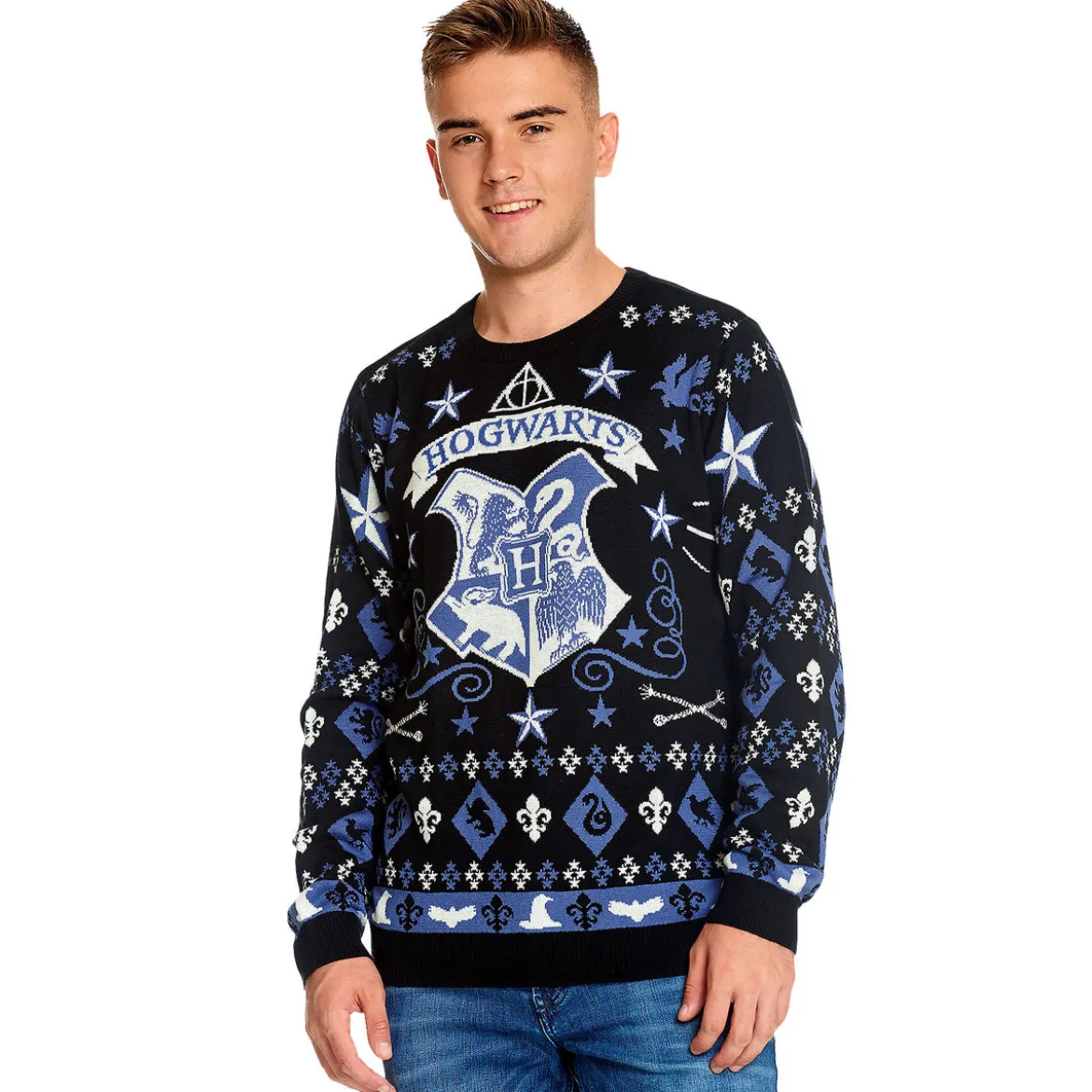 Harry Potter - Hogwarts Wappen Strickpullover