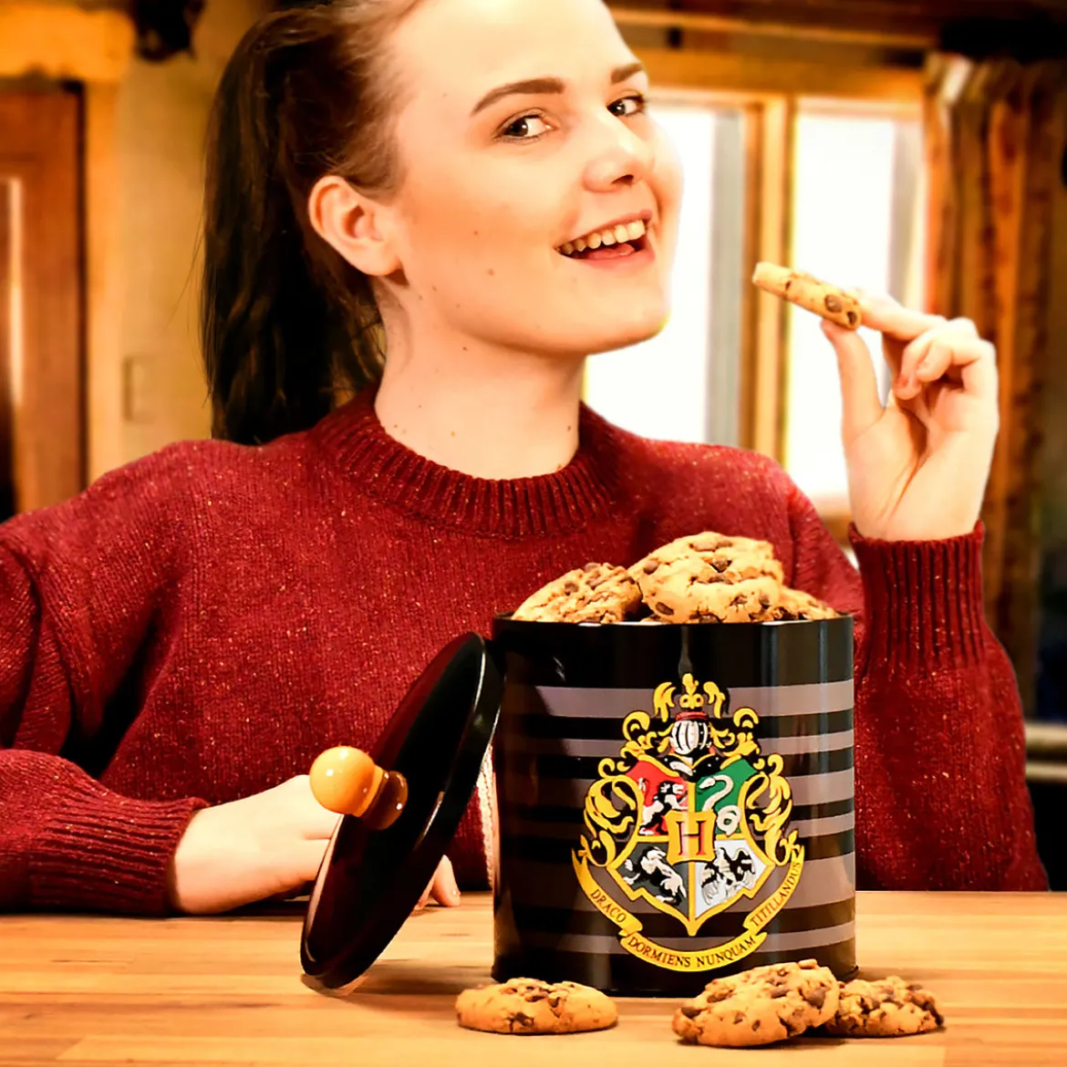 Harry Potter - Hogwarts Wappen Dose