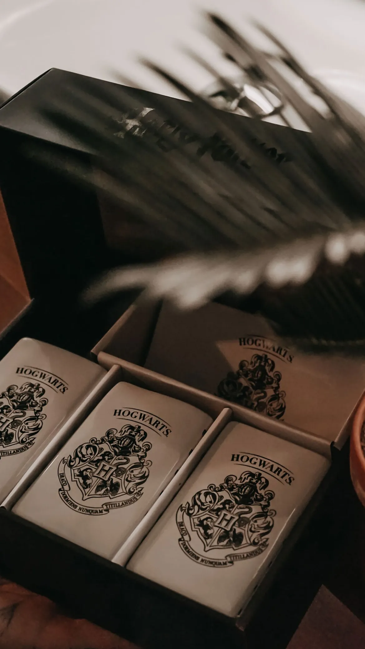 Harry Potter - Hogwarts Wappen Badset 4-teilig