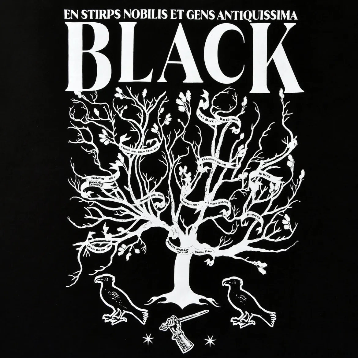 Harry Potter - House of Black T-Shirt schwarz