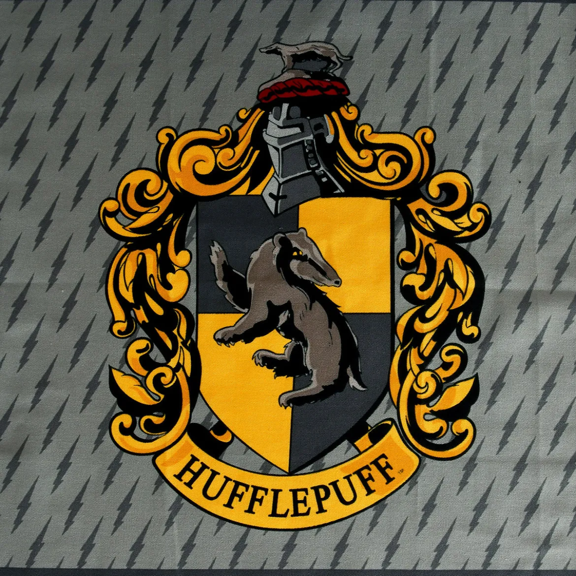 Harry Potter - Hufflepuff & Hogwarts Geschirrtücher Set