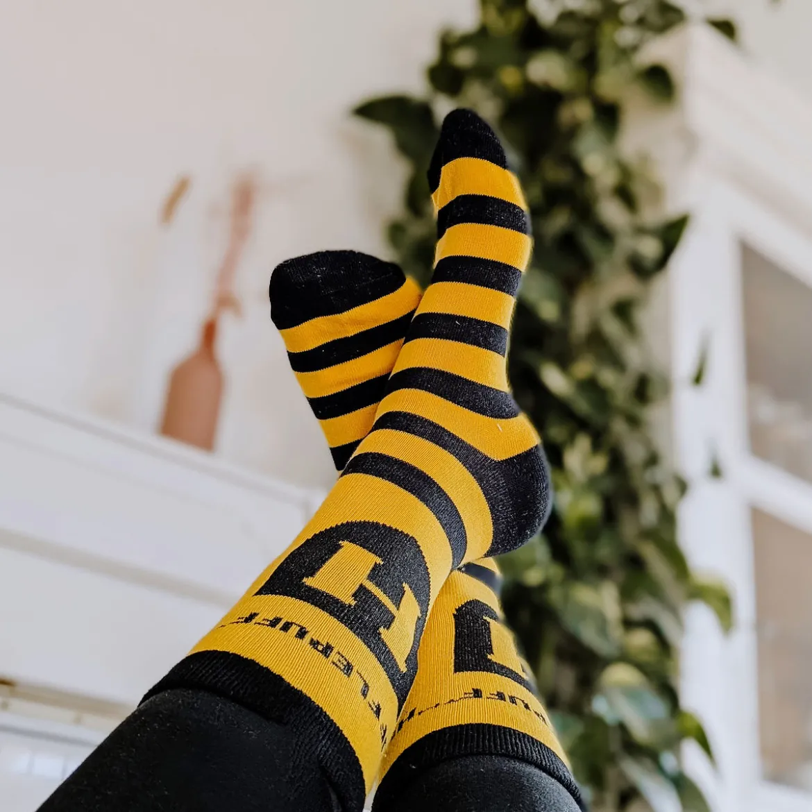 Harry Potter - Hufflepuff Logo Socken gelb-schwarz