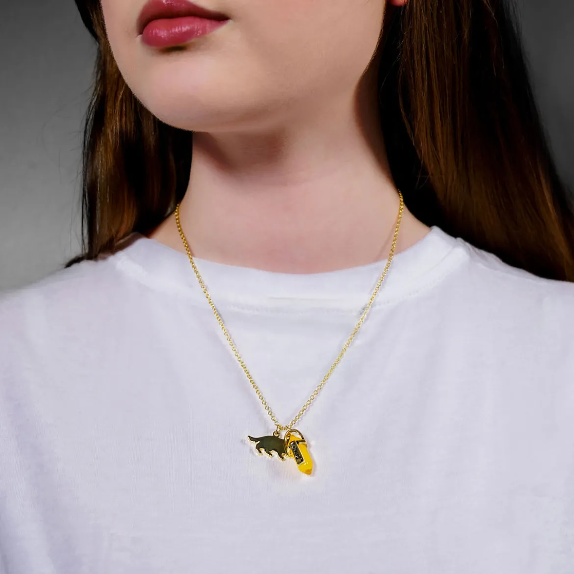 Harry Potter - Hufflepuff Wappen Kette