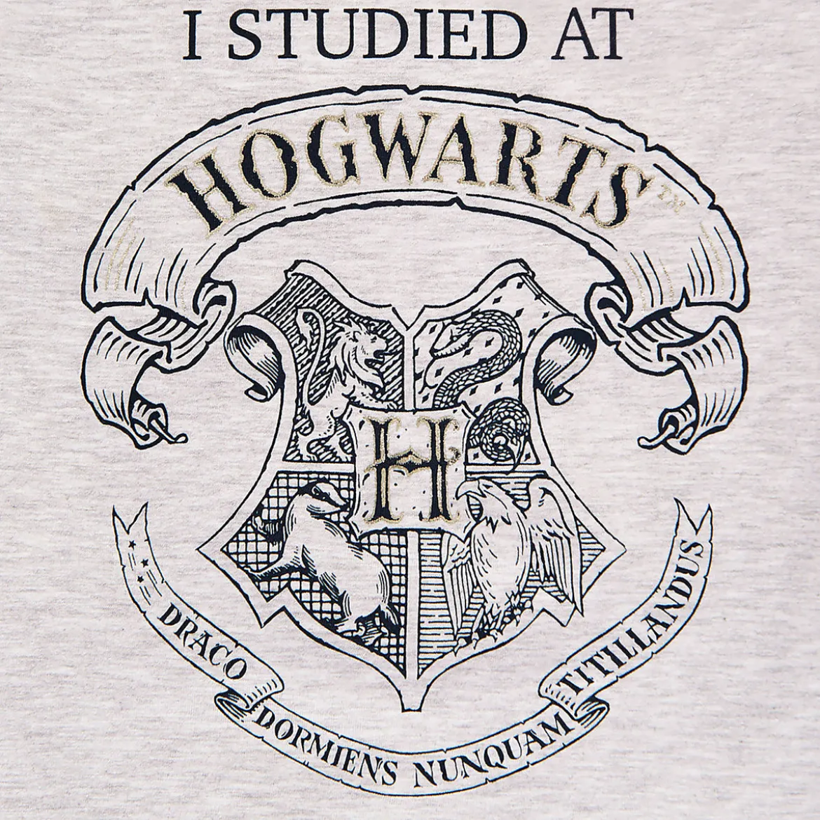 Harry Potter - I Studied at Hogwarts Kinder T-Shirt