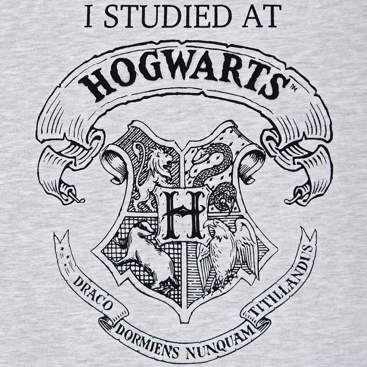 Harry Potter - I Studied at Hogwarts Damen Sweater grau