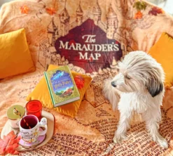 Harry Potter - Karte des Rumtreibers Flauschdecke mit Teddyfell