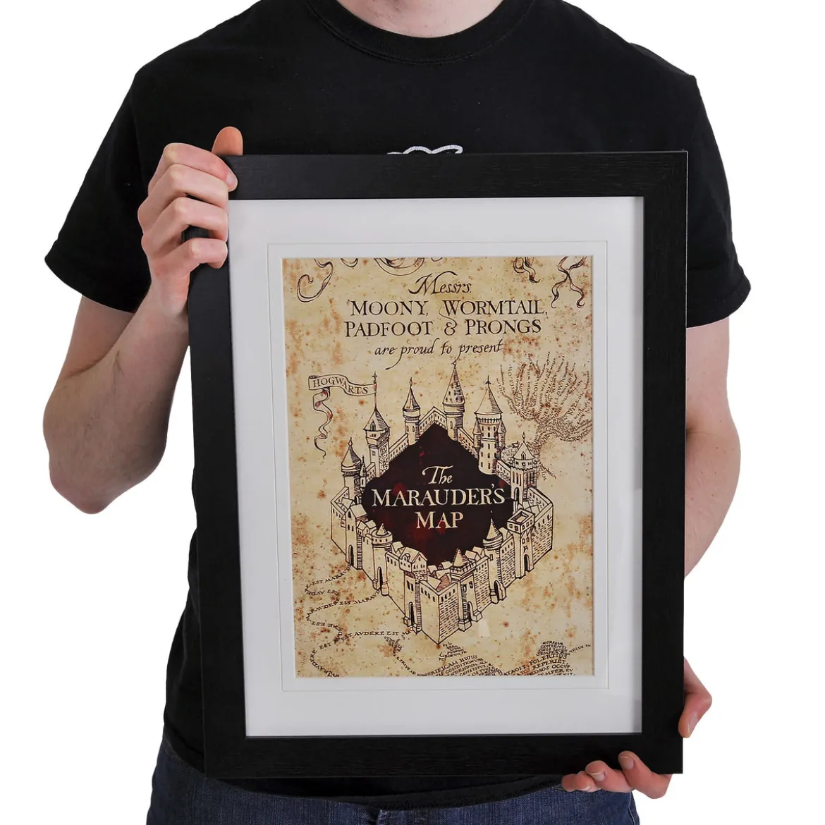 Harry Potter - Karte des Rumtreibers Wandbild
