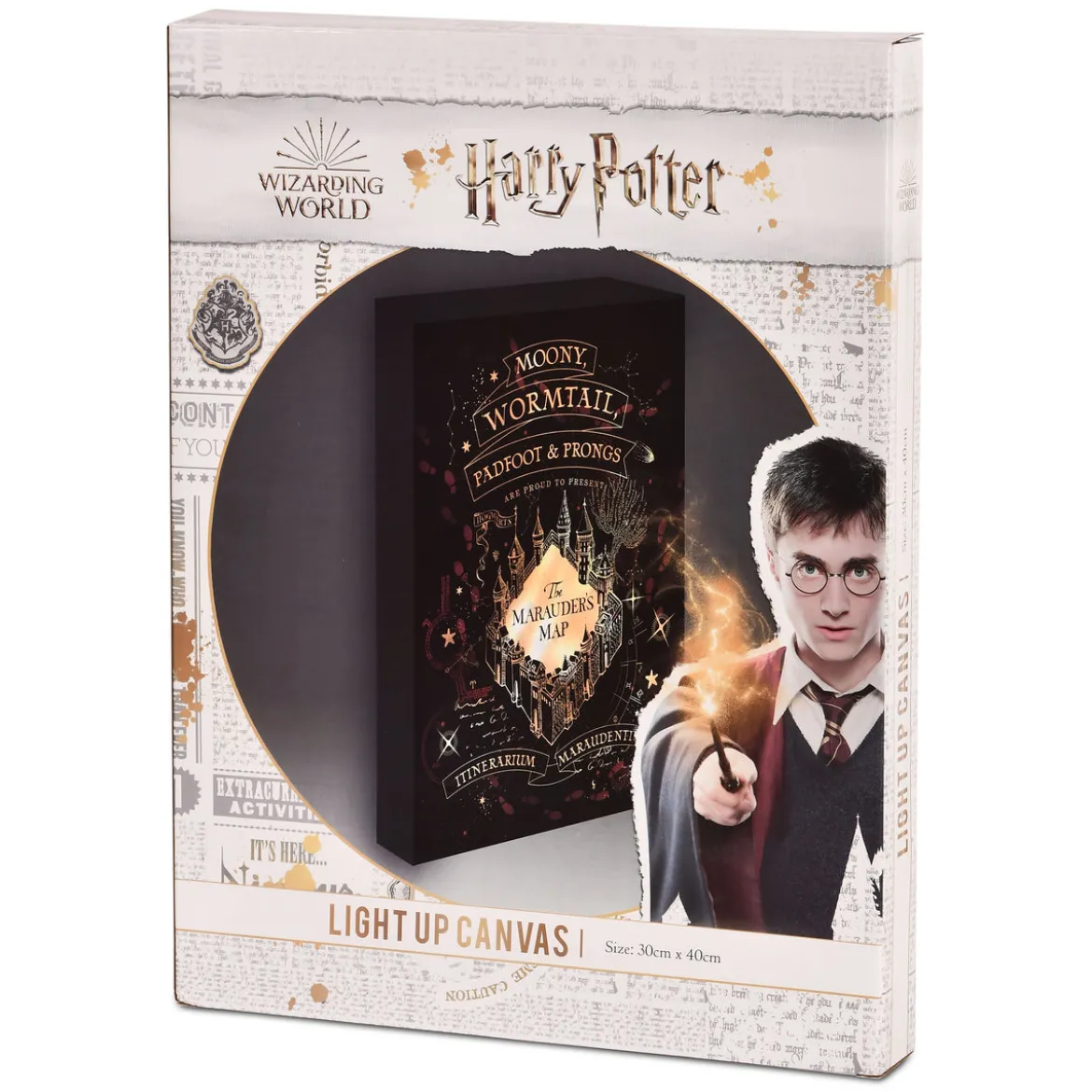 Harry Potter - Karte des Rumtreibers Wandbild mit Licht