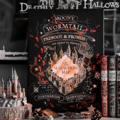 Harry Potter - Karte des Rumtreibers Wandbild mit Licht