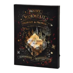 Harry Potter - Karte des Rumtreibers Wandbild mit Licht