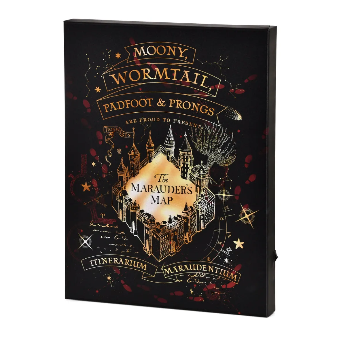 Harry Potter - Karte des Rumtreibers Wandbild mit Licht
