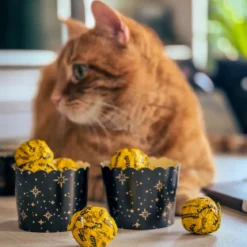 Harry Potter - Knusperkugeln mit Nuss-Nougat-Creme