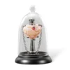 Harry Potter - Liebestrank Kette inkl. Display