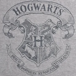 Harry Potter - Logo T-Shirt grau