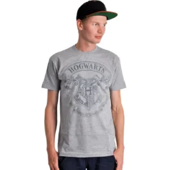 Harry Potter - Logo T-Shirt grau