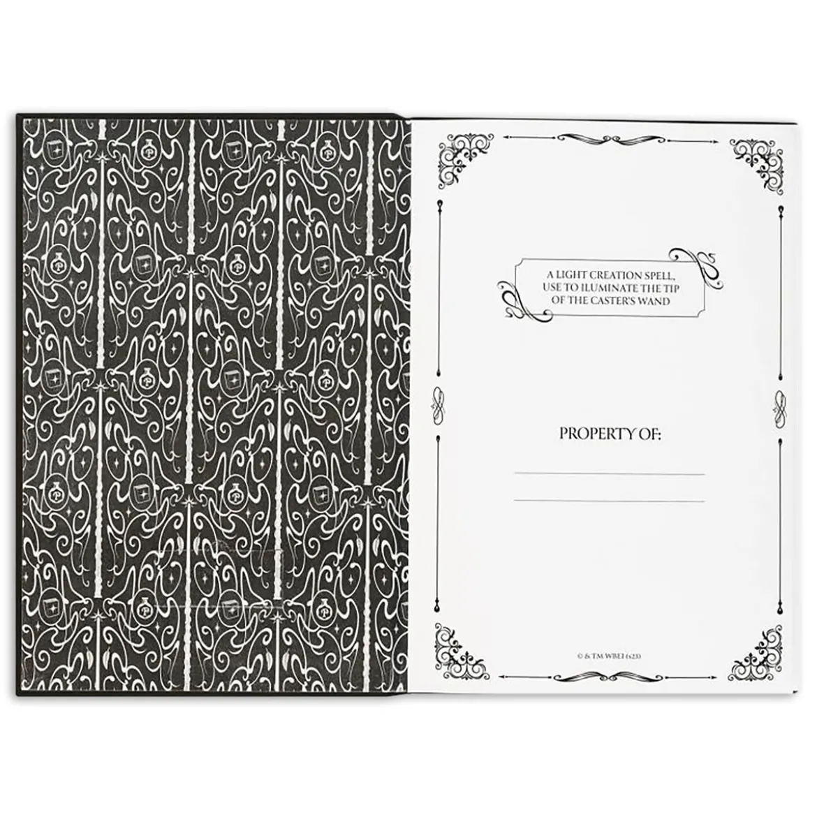 Harry Potter - Lumos Maxima Notizbuch mit Lichteffekt