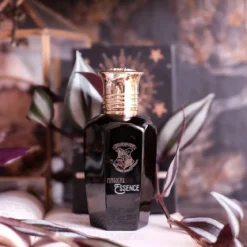 Harry Potter - Magical Essence Ambiton Eau de Parfum