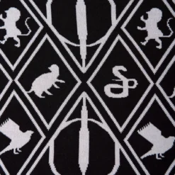 Harry Potter - Magic Symbols Poncho
