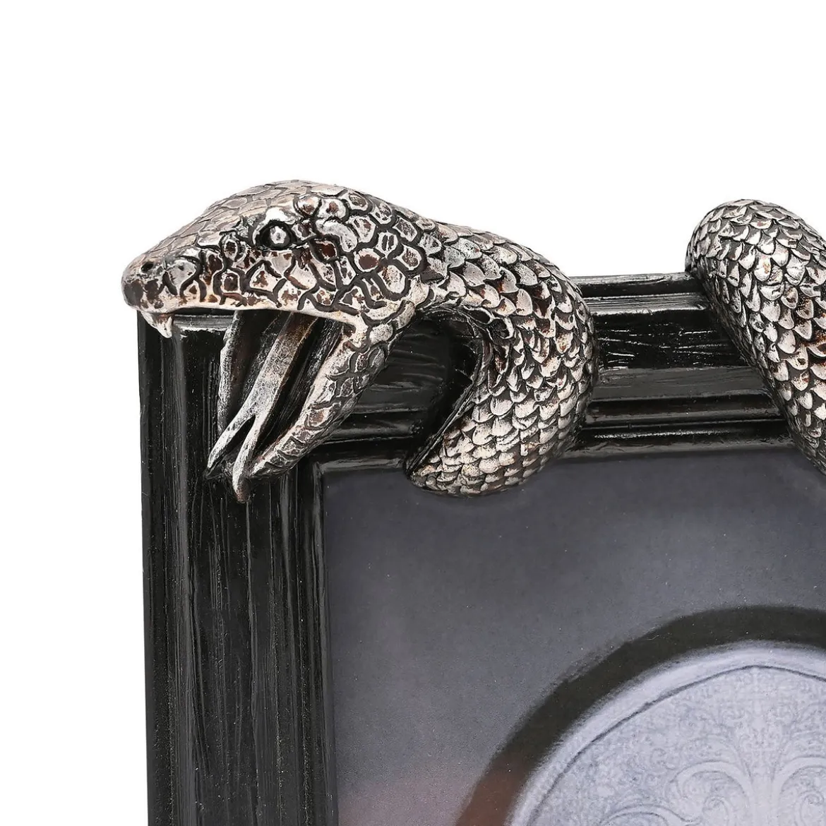 Harry Potter - Nagini Bilderrahmen