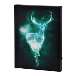 Harry Potter - Patronus Wandbild mit Licht