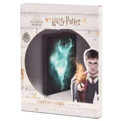 Harry Potter - Patronus Wandbild mit Licht