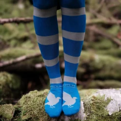 Harry Potter - Ravenclaw Overknee Strümpfe 2er Set