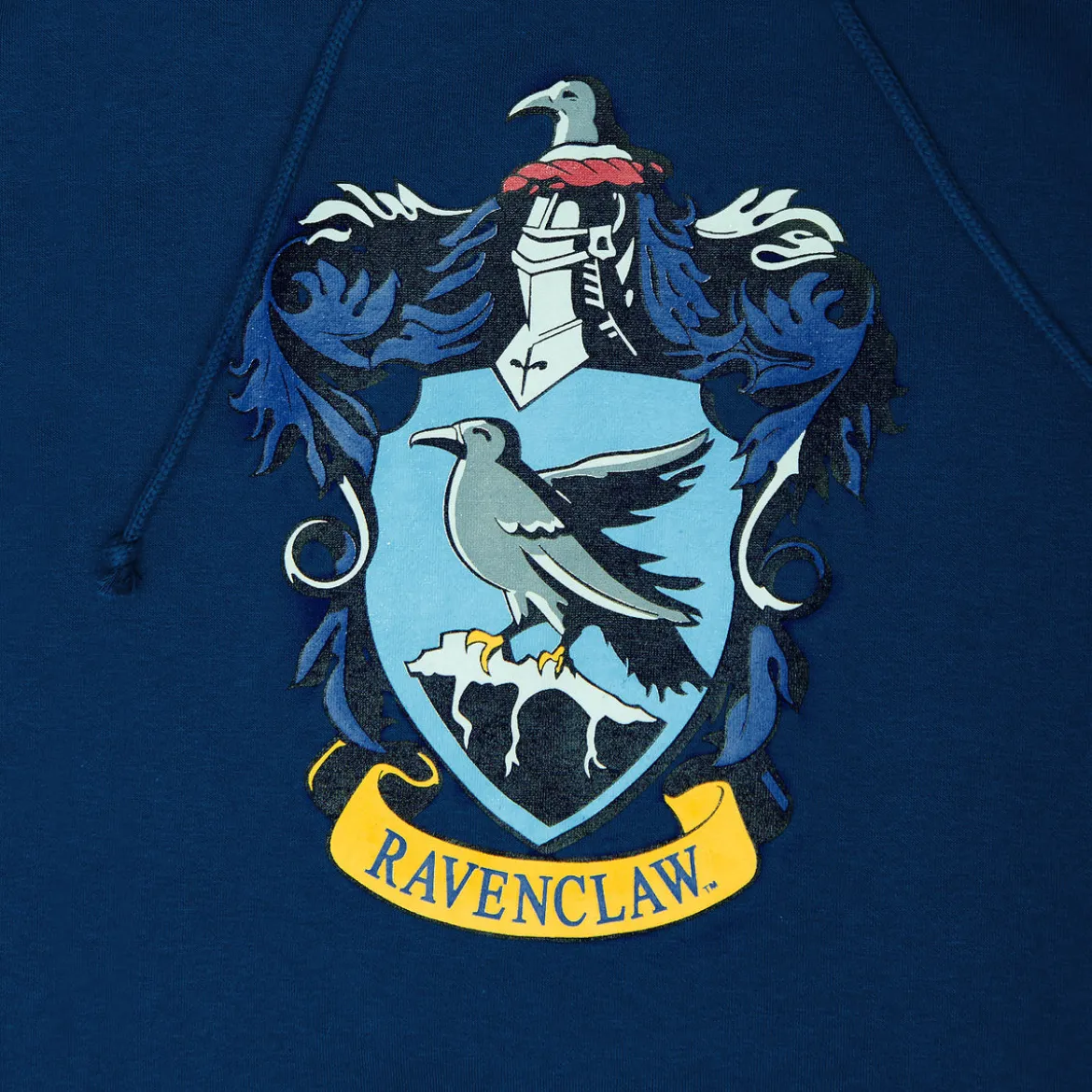 Harry Potter - Ravenclaw Wappen Hoodie