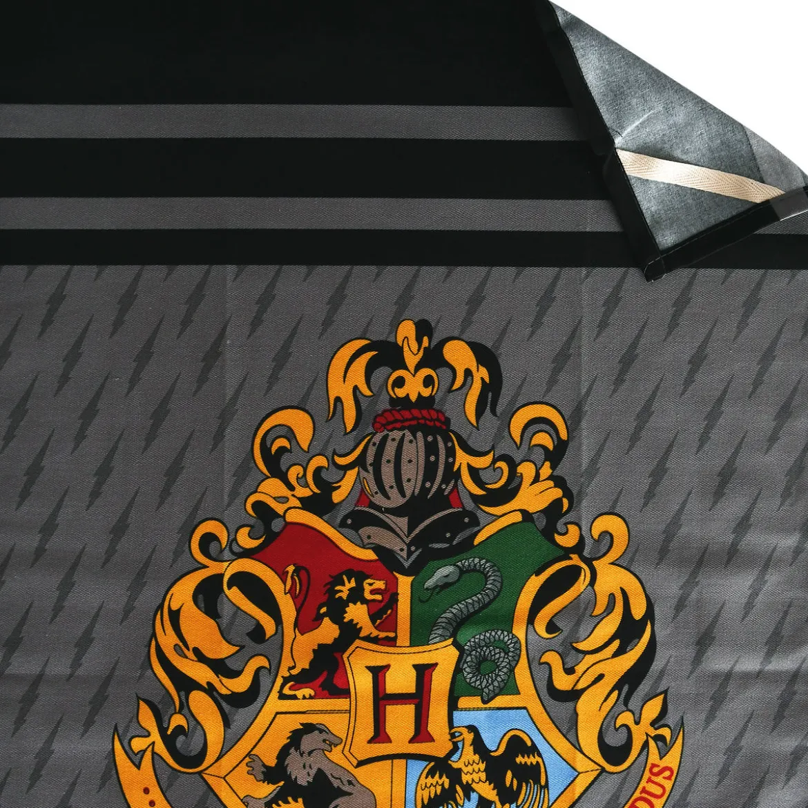 Harry Potter - Slytherin & Hogwarts Geschirrtücher Set