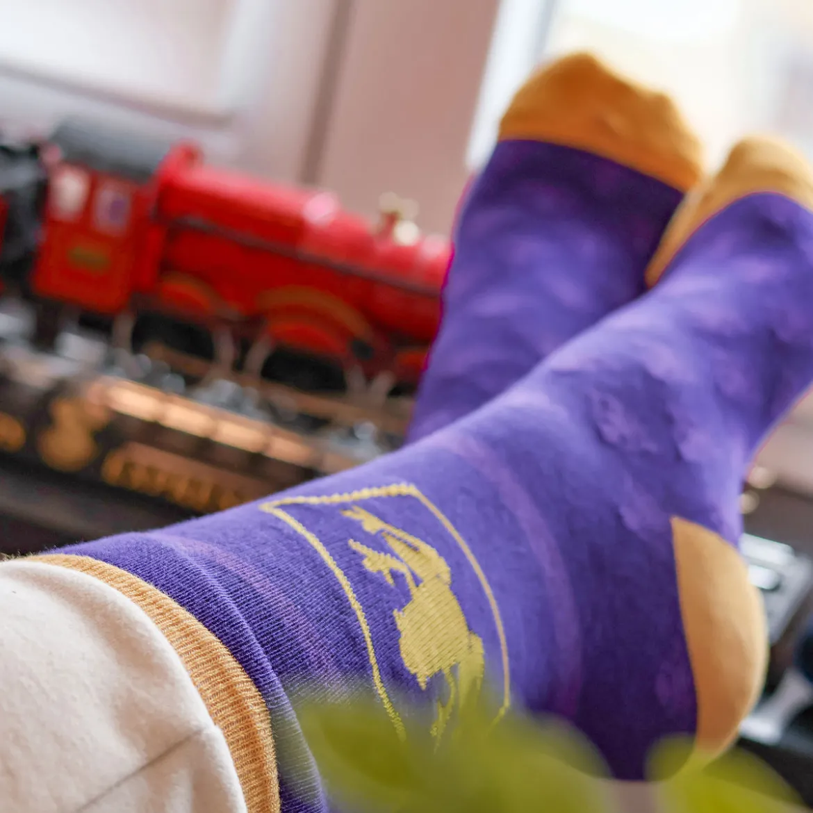Harry Potter - Socken 3er Set in Schokofrosch Box