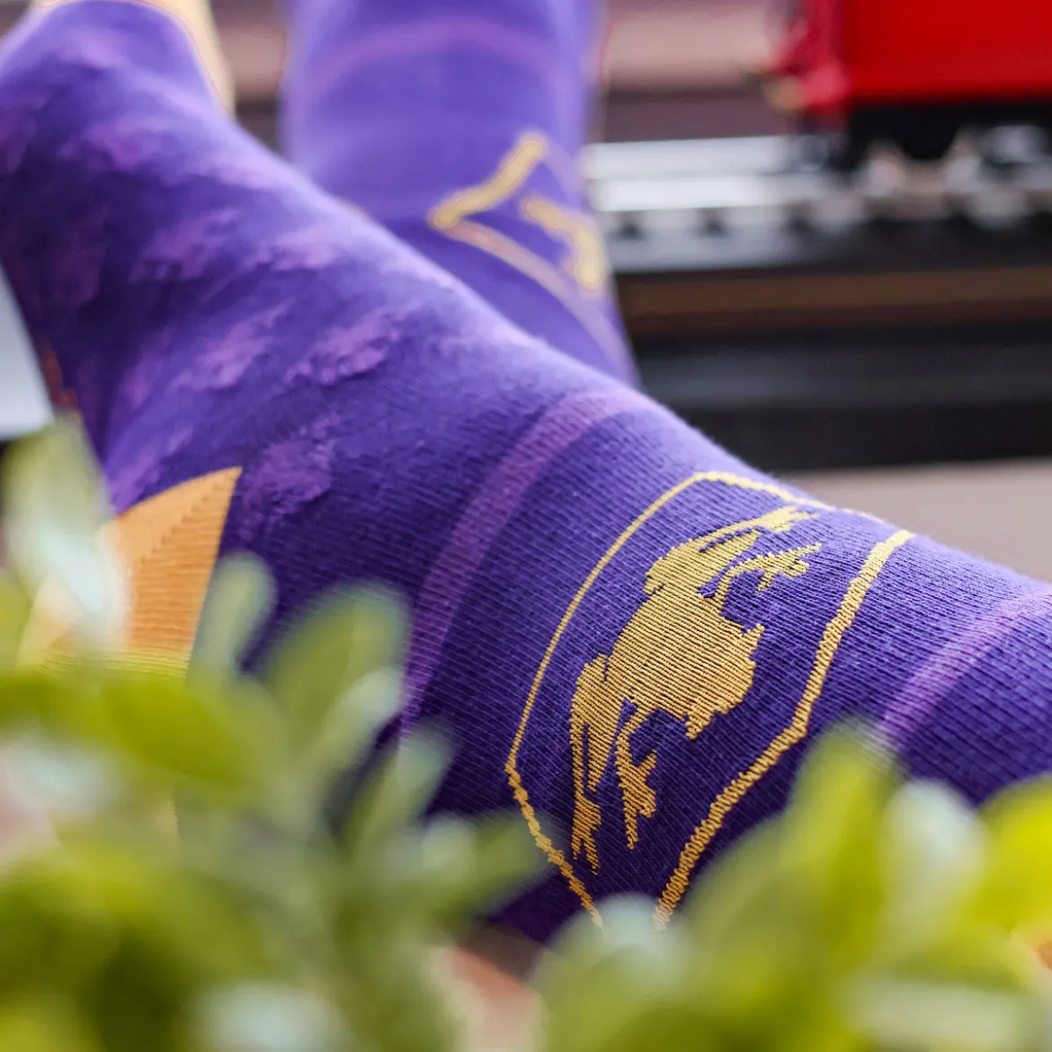 Harry Potter - Socken 3er Set in Schokofrosch Box