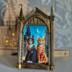 Harry Potter - Spiegel Nerhegeb Bilderrahmen
