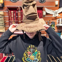 Harry Potter - Sprechender Hut mit Sound und Bewegung