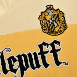 Harry Potter - Team Hufflepuff Block Hoodie