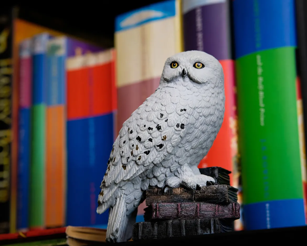 Hedwig - Harry Potter Magische Tierwesen Figur