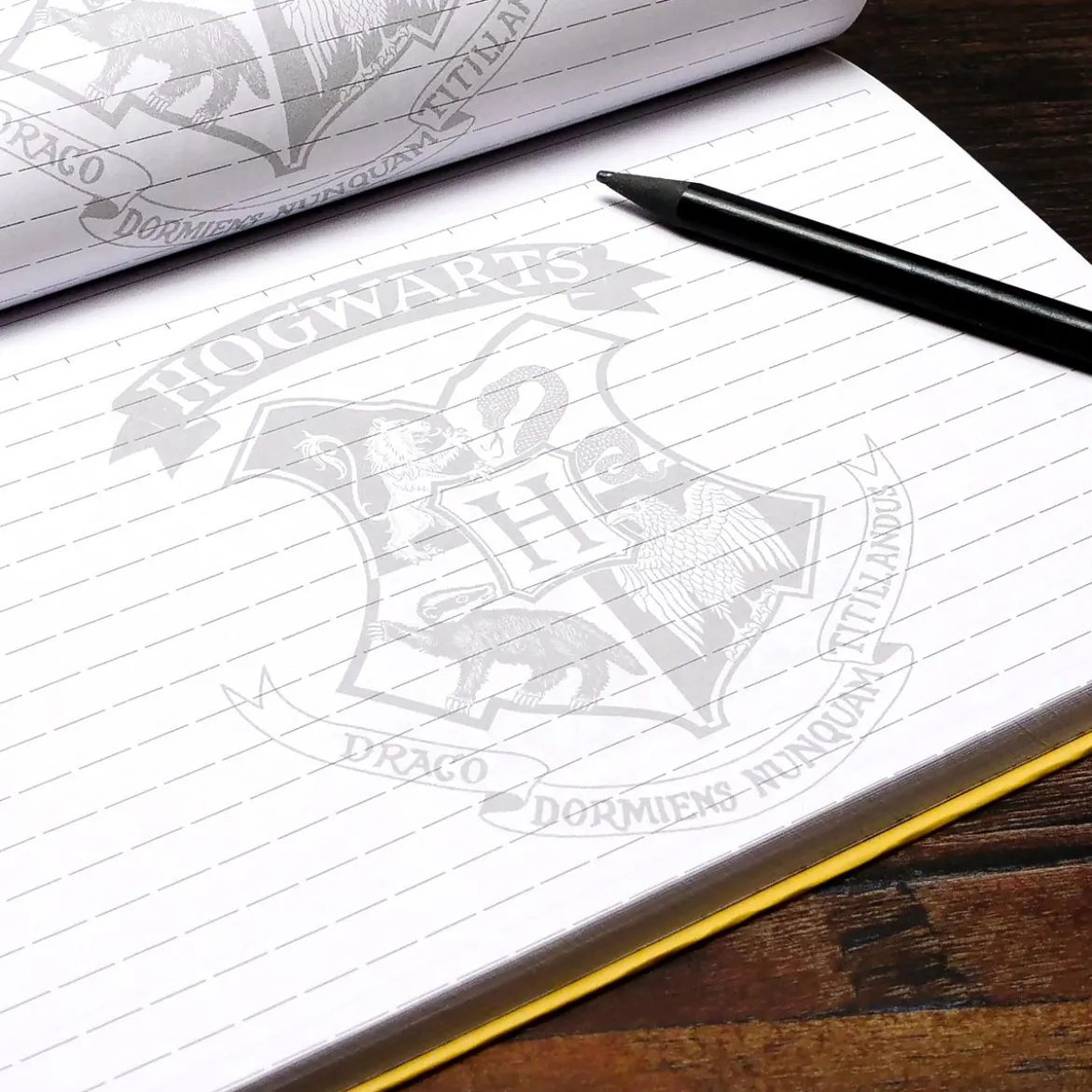 Hogwarts Brief Notizbuch mit Magnetverschluss A5 - Harry Potter