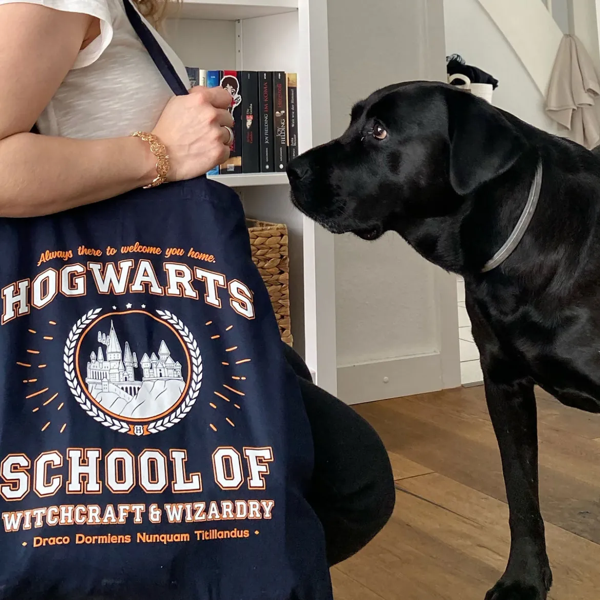 Hogwarts School Jutebeutel blau - Harry Potter