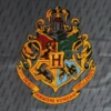 Hogwarts und Karte des Rumtreibers Geschirrtücher Set - Harry Potter