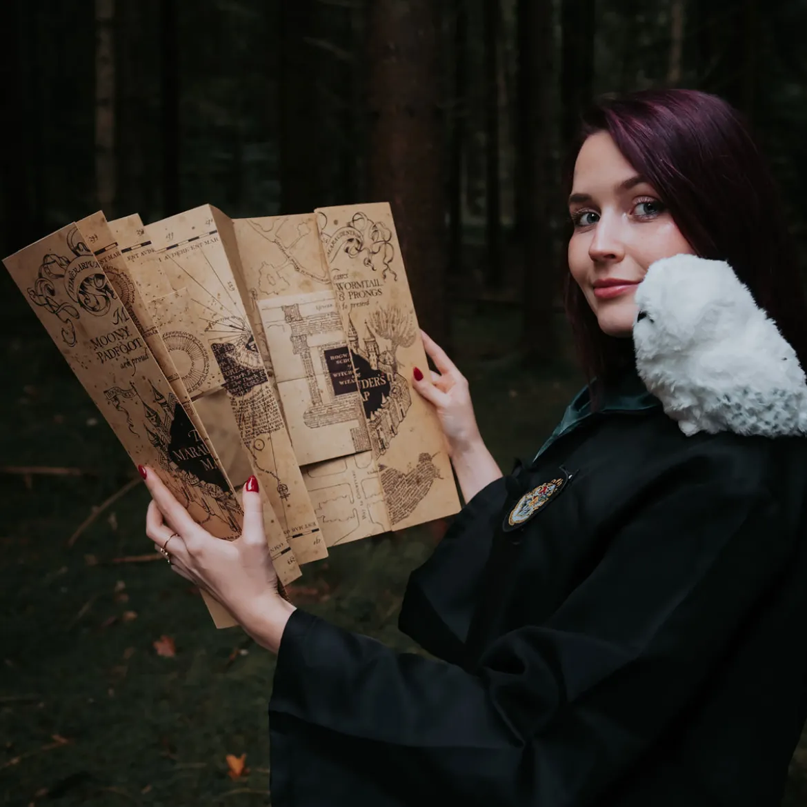 Karte des Rumtreibers - Harry Potter