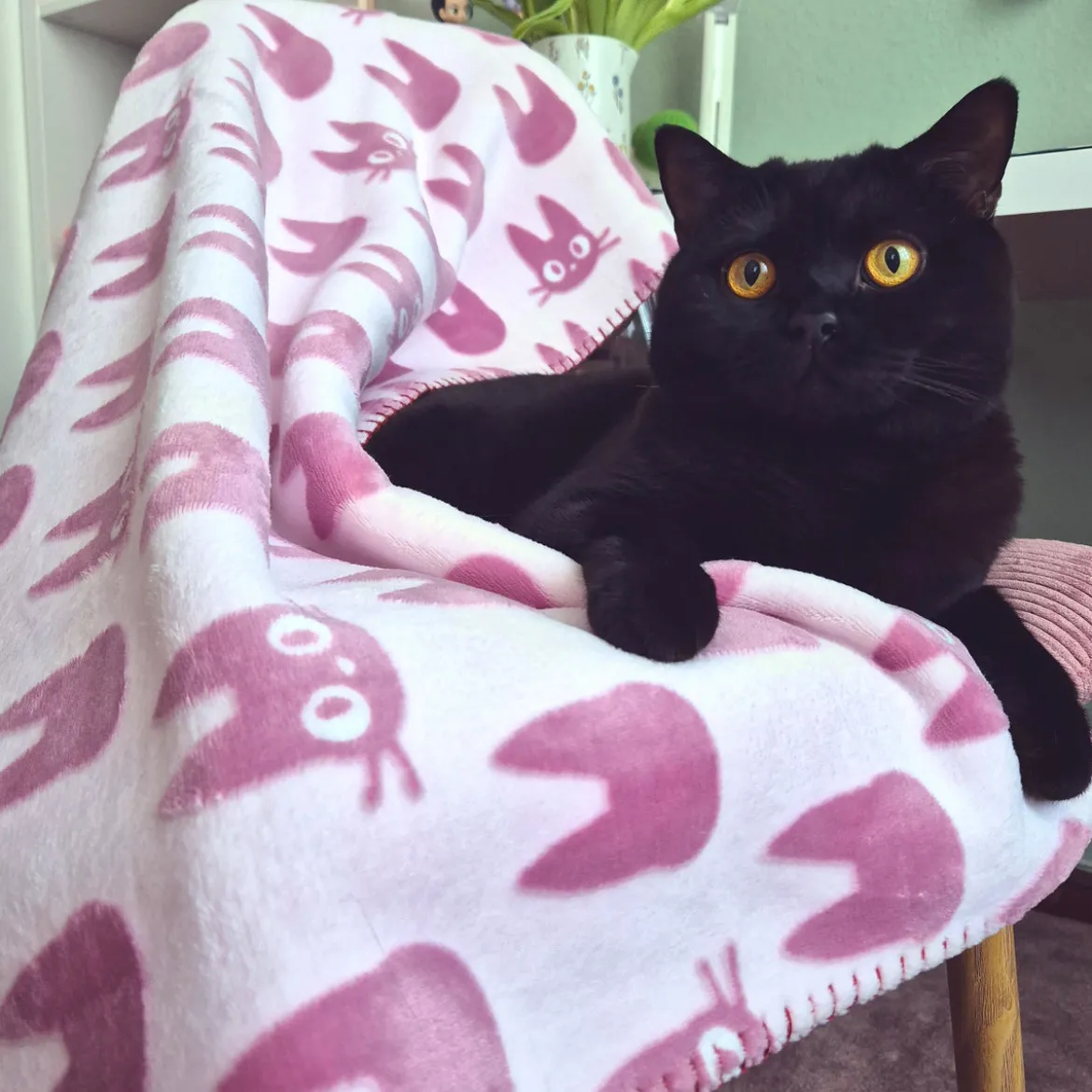 Kikis kleiner Lieferservice - Jiji Silhouette Flauschdecke mit Teddyfell