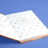 Line Friends - Brown Plüsch Notizbuch A5