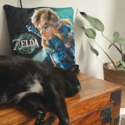 Link Kissen - Zelda